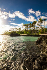 Fototapeta na wymiar Tropical beach on south side of Samoa Island with coconut palm trees