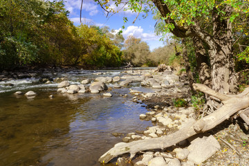 A creek in an autumn afternoon