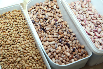 Dried bean, pattern background, top view . lead paper . Anasazi kidney bean background.