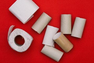 A round, cylindrical cardboard tube from toilet paper. Remains of toilet paper on a red background. Rolls of soft white paper.