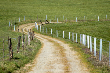 fenced winding field path through meadows