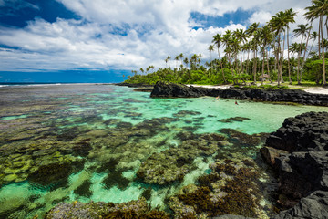 Tropical beach on south side of Samoa Island with coconut palm trees