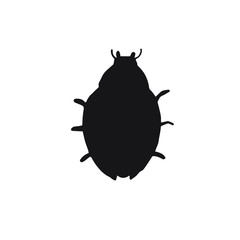 Vector black ladybug silhouette isolated on white background