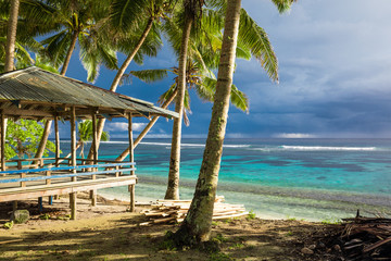 Vibrant tropical beach with palm trees, Upolu, Samoa