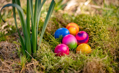 Ostereier in einem Nest