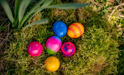 Ostereier in einem Nest