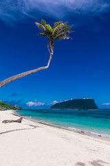 Tropical beach on south side of Samoa Island with coconut palm trees
