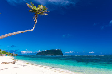 Tropical beach on south side of Samoa Island with coconut palm trees