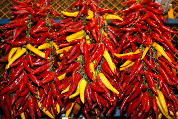Fresh ripe chili peppers for sale