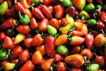 Fresh ripe chili peppers for sale