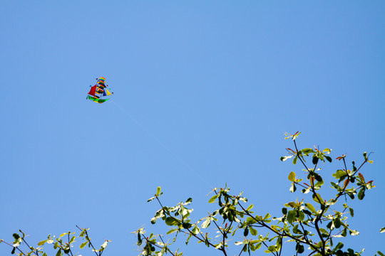 Colorful, paper, kite in the form of a ship flying in the sky. He is tied to a rope. Tops of green trees are visible from below. There are no clouds in the sky. Blue background with copy space.