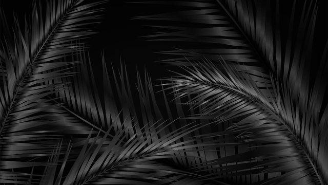 Dark illustration with black palm branches and leaves