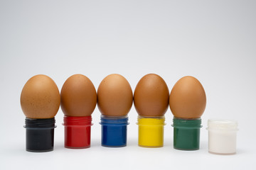 chicken eggs in colored cups on a white background