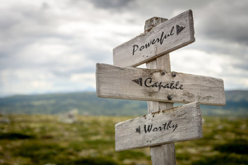 powerful, capable and worthy text on wooden signpost outdoors in nature. Branding, ,Marketing and...