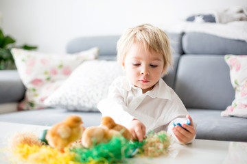 Sweet toddle blond boy, child, playing with cute little newborn chicks in a bucket and easter eggs