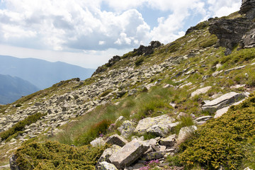 Landscape near Big (Golyam) Kupen peak, Rila Mountain