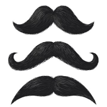 Realistic moustaches. Black mustache facial hair style, barbershop gentleman hipster fashion, fathers day decorative vector elements