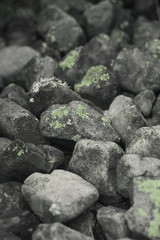 River rocks covered by light green moss

