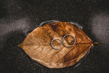Two wedding rings on surface of brown autumn leaf on water. Luxury brand presentation, jewelry concept.