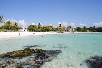 tropical beach with palm trees