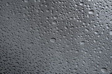 rain droplets