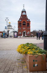 old Russian architecture, the Church in the city of Vladimir