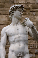 Fototapeta na wymiar David marble statue by Michelangelo Buonarroti, Florence, Tuscany, Italy.