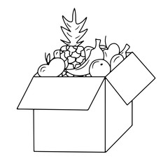 Carton cardborard box with fresh fruits and vegetables, provision. Vector illustration in cartoon doodle outline style. Ready boxes in supermarket and shops. Fast delivery to home.