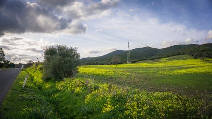 landscape of a field next to the road.
