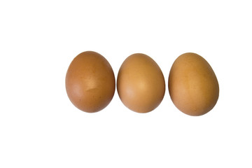 
Chicken eggs on a white background