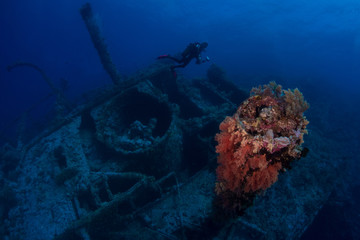 Diving in Numidia wreck at big brother island, Red Sea
