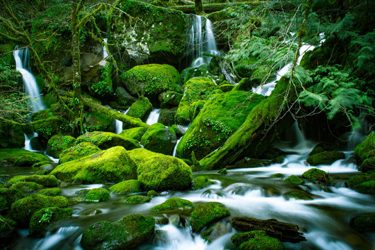 Side Creek at Coquille River Falls, Oregon State