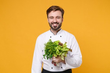 Smiling young bearded male chef cook or baker man in white uniform shirt posing isolated on yellow wall background. Cooking food concept. Mock up copy space. Hold bunch of greens salad dill parsley.