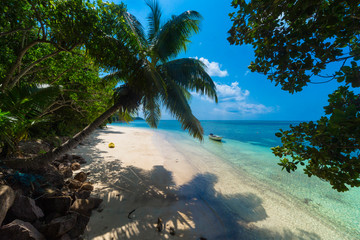 Obraz na płótnie Canvas The Beach Anse Lazio at Praslin, Seychelles Islands, Indian Ocean, Africa