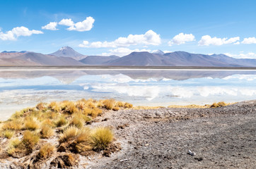 Landscape reflection in The Salar de Aguas Calientes Lagoon, San Pedro de Atacama, Chile