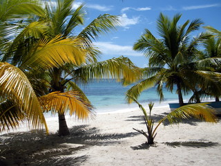 palme e sabbia e mare sull'isola di Saona a Santo Domingo