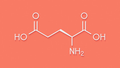 Glutamic acid (l-glutamic acid, Glu, E) amino acid and neurotransmitter molecule. Skeletal formula.