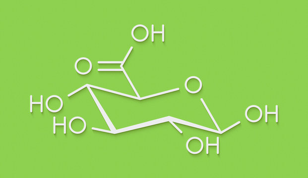 Glucuronic acid molecule. Glucuronidation of xenobiotics plays role in drug metabolism, giving glucuronides. Skeletal formula.