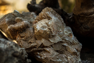 beautiful brown mineral