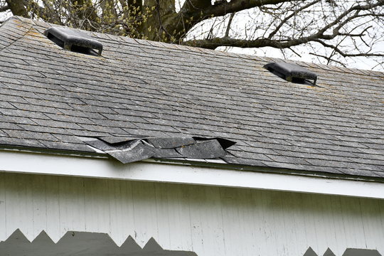 Shingle Damage