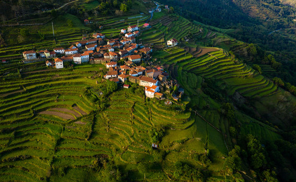 Terraces of sistelo at arcos valdevez