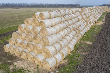 Storage straw bales in the field. Drone view