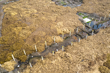 Large stock of manure near an animal farm. Drone view.