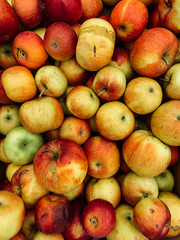 lots of ripe fruit apples for eating background
