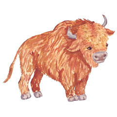 Little cute redhead bison cub. © apelsishka_art