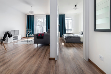 Modern Contemporary living room interior