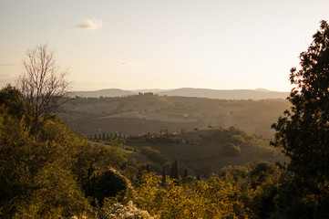 Tuscany landscape in Italy during the sunset with warm colors