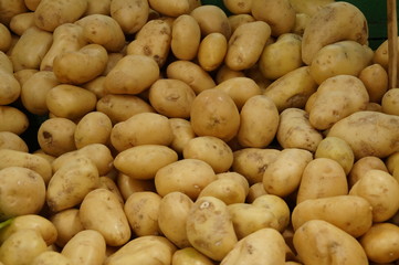 potatoes ready to a big soup
