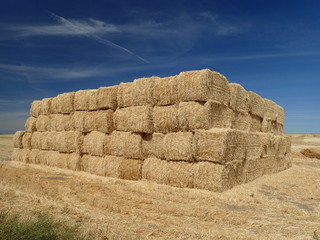 hay bales in the field in Idaho © Cliff Goggins