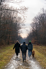 Walking in the forest